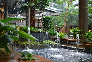 Pond